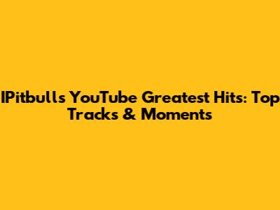 IPitbull's YouTube Greatest Hits: Top Tracks & Moments