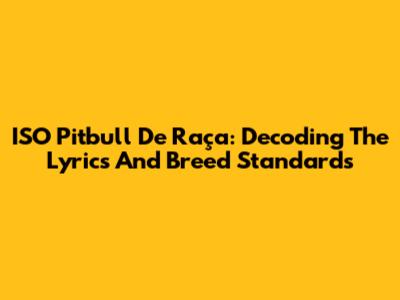 ISO Pitbull De Raça: Decoding The Lyrics And Breed Standards