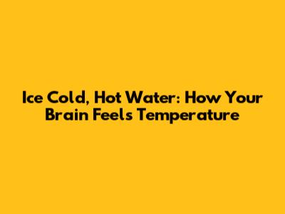 Ice Cold, Hot Water: How Your Brain Feels Temperature