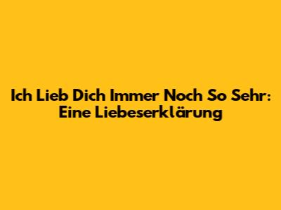 Ich Lieb Dich Immer Noch So Sehr: Eine Liebeserklärung