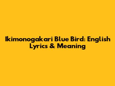Ikimonogakari Blue Bird: English Lyrics & Meaning
