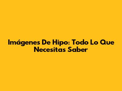 Imágenes De Hipo: Todo Lo Que Necesitas Saber