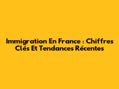 Immigration En France : Chiffres Clés Et Tendances Récentes