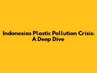 Indonesia's Plastic Pollution Crisis: A Deep Dive