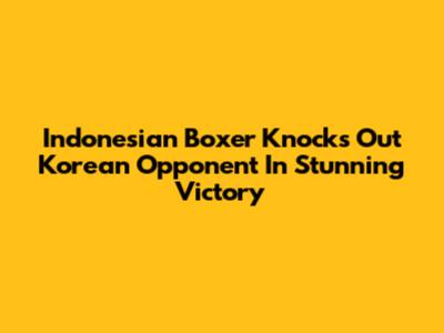 Indonesian Boxer Knocks Out Korean Opponent In Stunning Victory