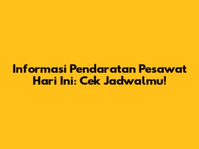 Informasi Pendaratan Pesawat Hari Ini: Cek Jadwalmu!