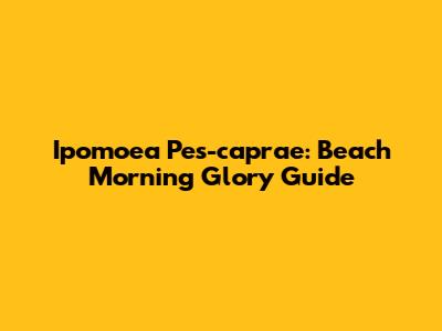 Ipomoea Pes-caprae: Beach Morning Glory Guide