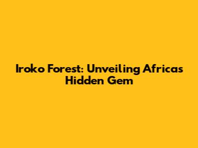 Iroko Forest: Unveiling Africa's Hidden Gem