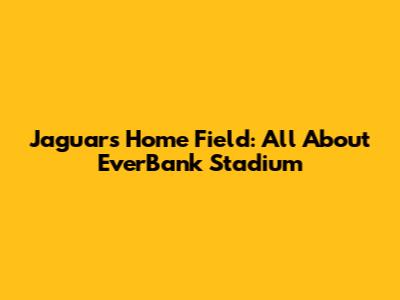 Jaguars' Home Field: All About EverBank Stadium
