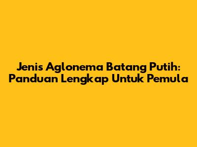 Jenis Aglonema Batang Putih: Panduan Lengkap Untuk Pemula