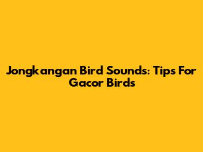 Jongkangan Bird Sounds: Tips For Gacor Birds