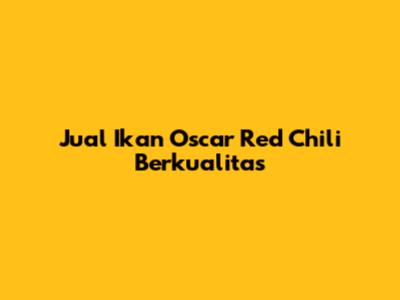 Jual Ikan Oscar Red Chili Berkualitas