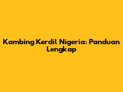 Kambing Kerdil Nigeria: Panduan Lengkap