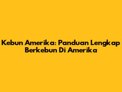 Kebun Amerika: Panduan Lengkap Berkebun Di Amerika