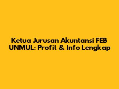 Ketua Jurusan Akuntansi FEB UNMUL: Profil & Info Lengkap