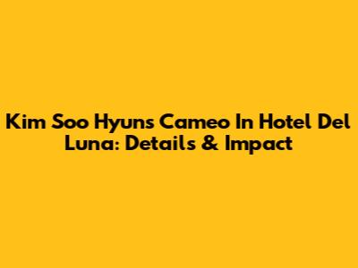Kim Soo Hyun's Cameo In Hotel Del Luna: Details & Impact