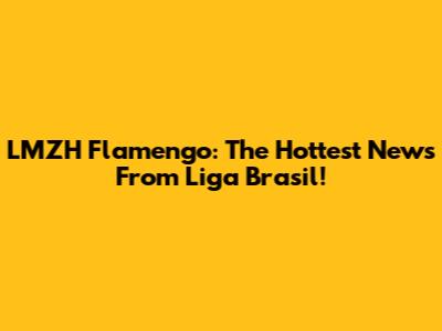 LMZH Flamengo: The Hottest News From Liga Brasil!