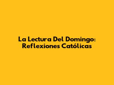 La Lectura Del Domingo: Reflexiones Católicas