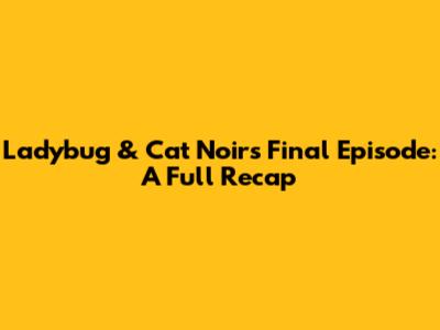 Ladybug & Cat Noir's Final Episode: A Full Recap