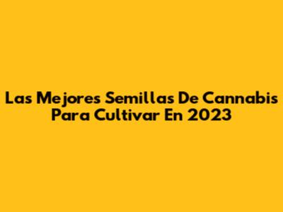 Las Mejores Semillas De Cannabis Para Cultivar En 2023