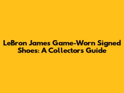 LeBron James Game-Worn Signed Shoes: A Collector's Guide