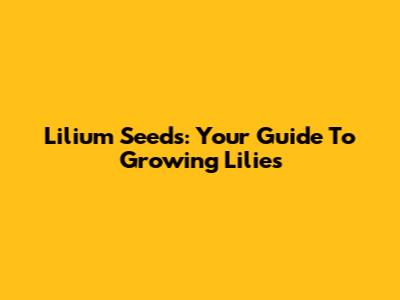 Lilium Seeds: Your Guide To Growing Lilies