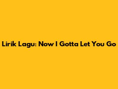 Lirik Lagu: Now I Gotta Let You Go