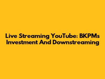 Live Streaming YouTube: BKPM's Investment And Downstreaming