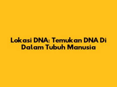 Lokasi DNA: Temukan DNA Di Dalam Tubuh Manusia