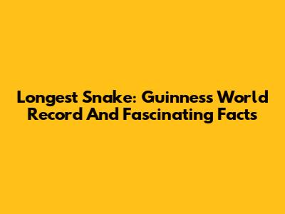 Longest Snake: Guinness World Record And Fascinating Facts