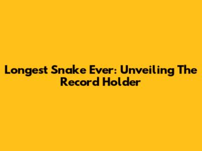 Longest Snake Ever: Unveiling The Record Holder