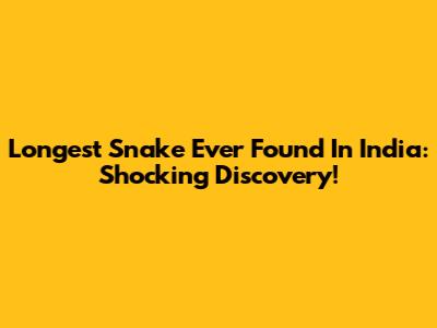 Longest Snake Ever Found In India: Shocking Discovery!