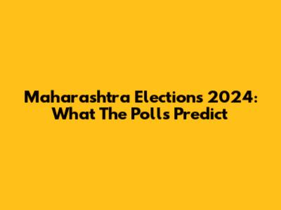 Maharashtra Elections 2024: What The Polls Predict