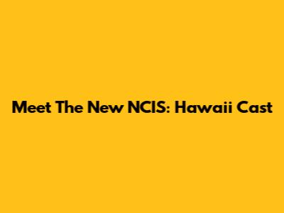 Meet The New NCIS: Hawaii Cast
