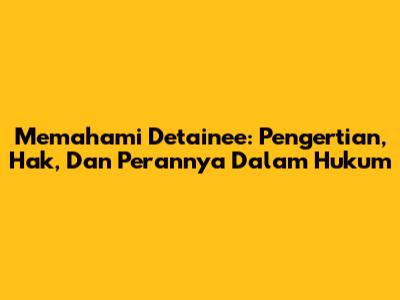 Memahami Detainee: Pengertian, Hak, Dan Perannya Dalam Hukum