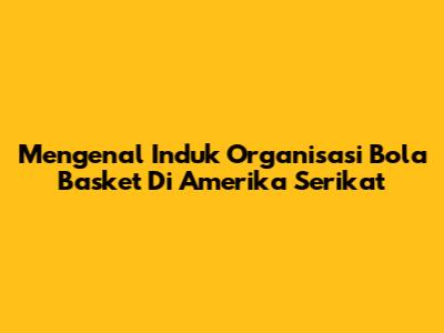 Mengenal Induk Organisasi Bola Basket Di Amerika Serikat