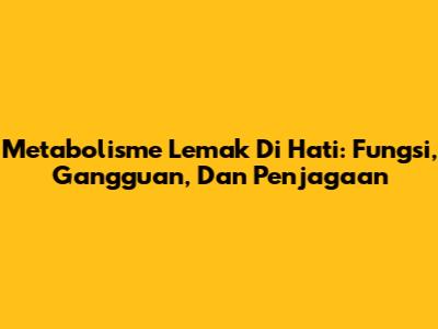 Metabolisme Lemak Di Hati: Fungsi, Gangguan, Dan Penjagaan