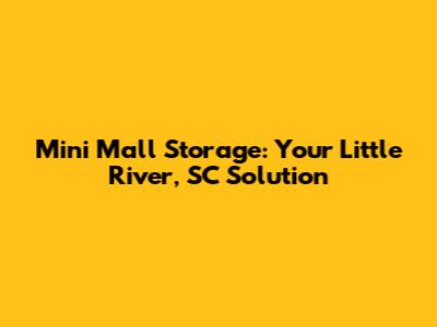 Mini Mall Storage: Your Little River, SC Solution