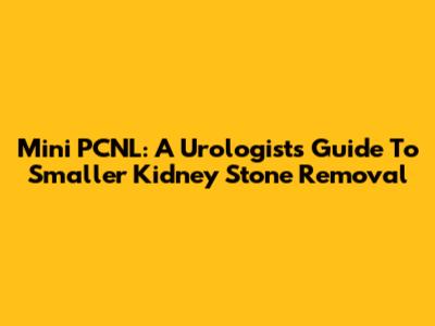 Mini PCNL: A Urologist's Guide To Smaller Kidney Stone Removal