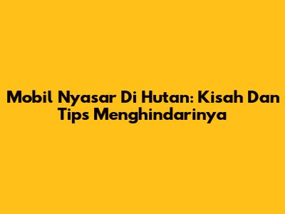 Mobil Nyasar Di Hutan: Kisah Dan Tips Menghindarinya
