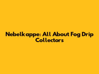 Nebelkappe: All About Fog Drip Collectors