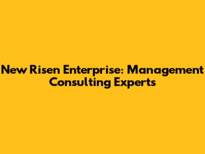 New Risen Enterprise: Management Consulting Experts