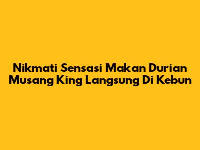 Nikmati Sensasi Makan Durian Musang King Langsung Di Kebun