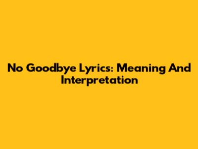 No Goodbye Lyrics: Meaning And Interpretation