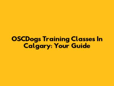 OSCDogs Training Classes In Calgary: Your Guide