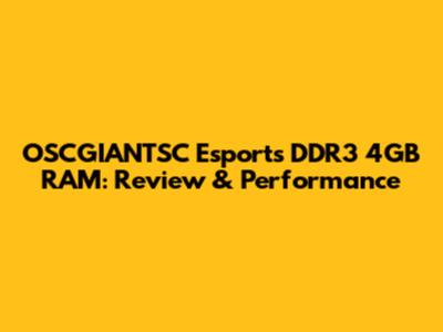 OSCGIANTSC Esports DDR3 4GB RAM: Review & Performance