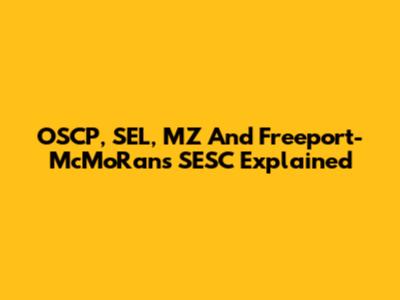 OSCP, SEL, MZ And Freeport-McMoRan's SESC Explained