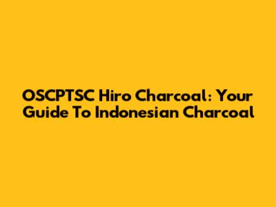 OSCPTSC Hiro Charcoal: Your Guide To Indonesian Charcoal