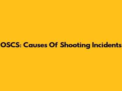 OSCS: Causes Of Shooting Incidents