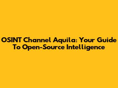 OSINT Channel Aquila: Your Guide To Open-Source Intelligence